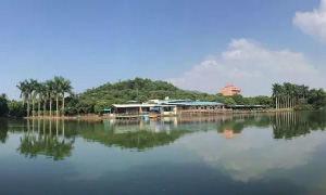 生活不只有工作-卓励科技自然之旅