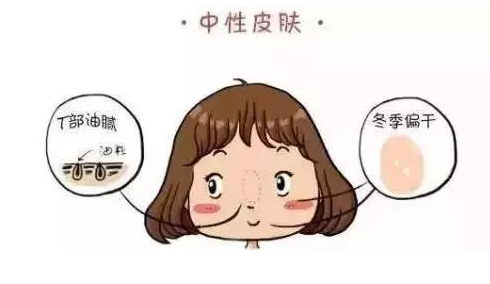 美容仪器厂能带来丰厚的回报在投资相关信息引起年轻人的关注