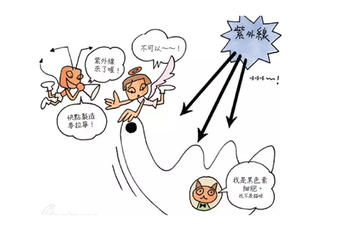 美容仪器厂的批发价是高还是低